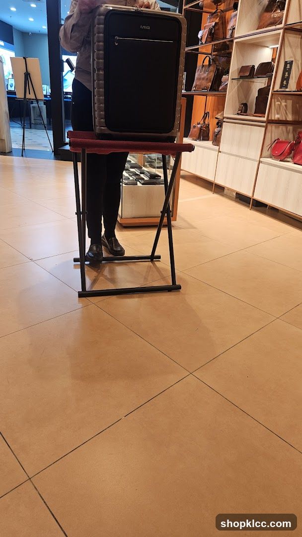 Person holding a suitcase in a store