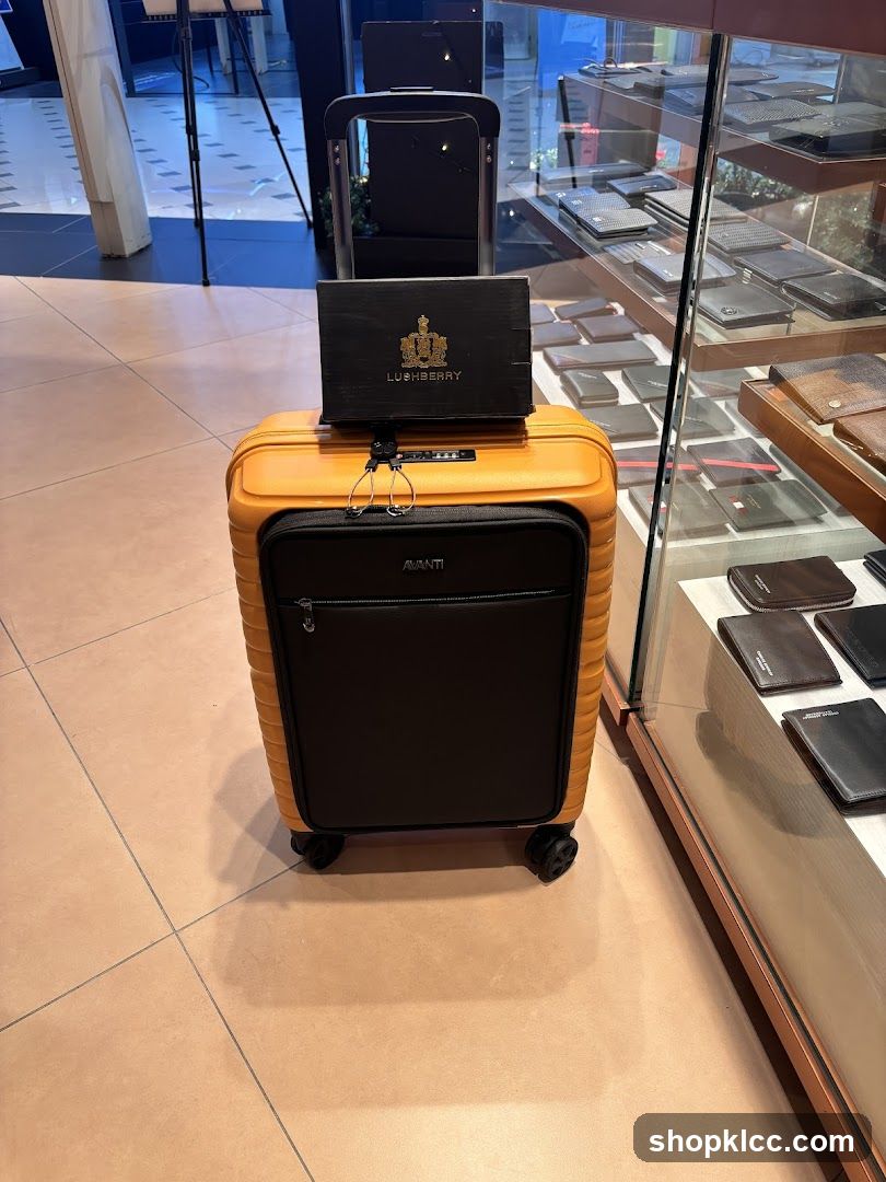 Luggage and Wallets Display