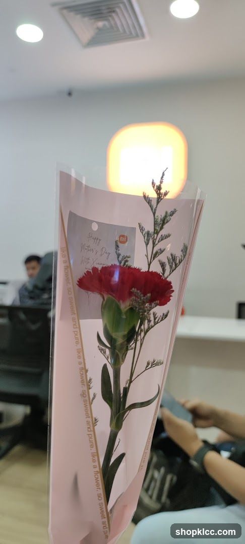 Mother's Day Flower