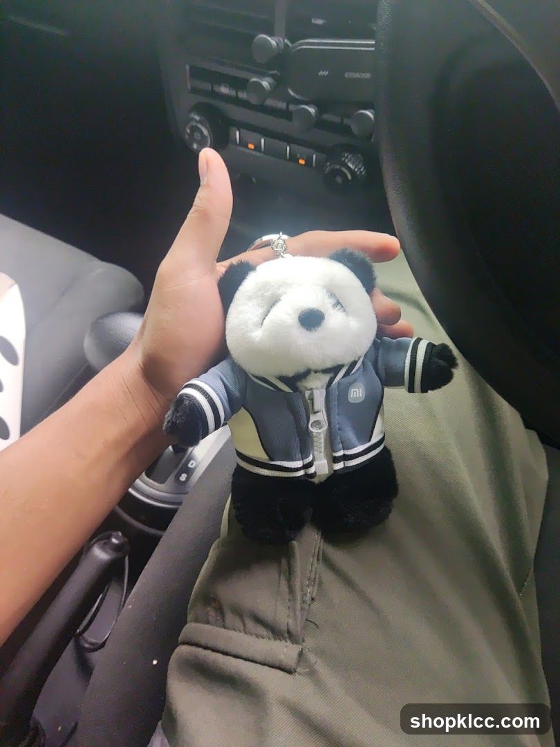 Panda keychain in a car