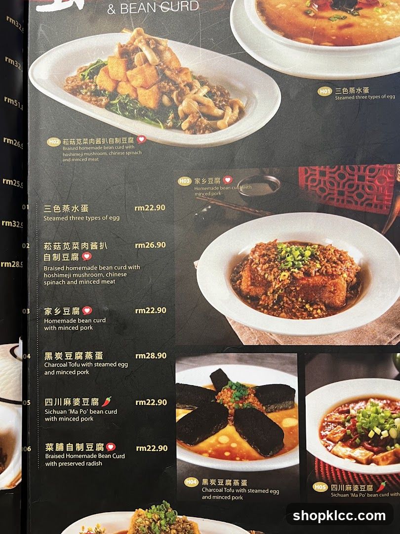 & BEAN CURD