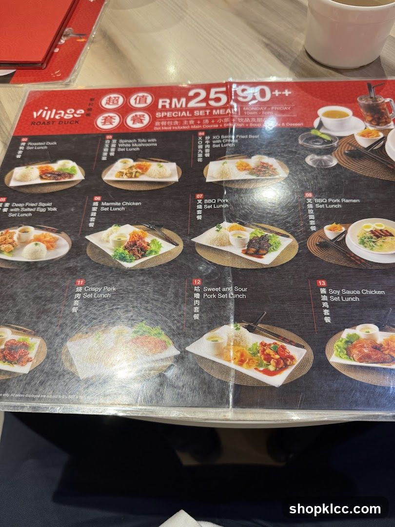 Village Roast Duck Special Set Meal