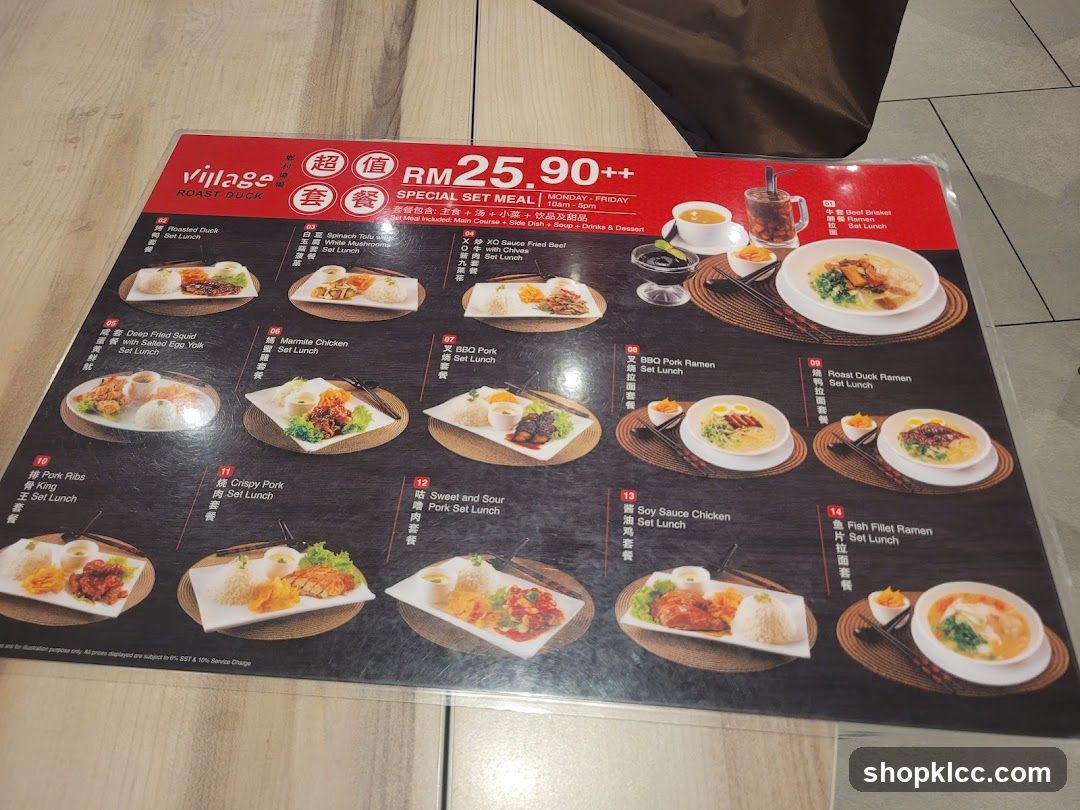 Village Roast Duck Special Set Meal
