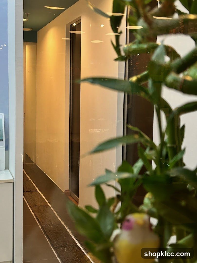 Interior Hallway with Plant and Bird Figurine