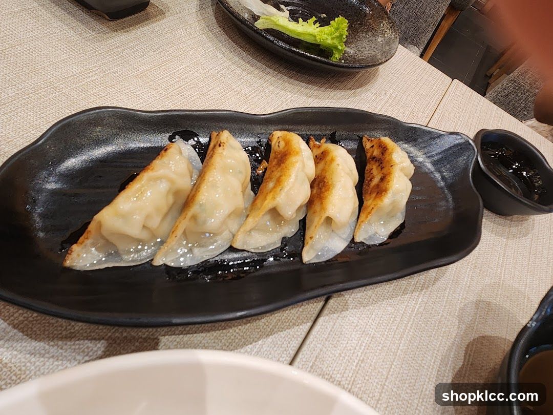 Pan-fried dumplings