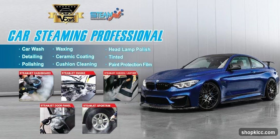 Car Steaming Professionals