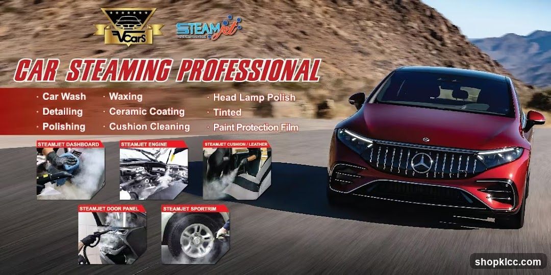 Car Steaming Professional Services