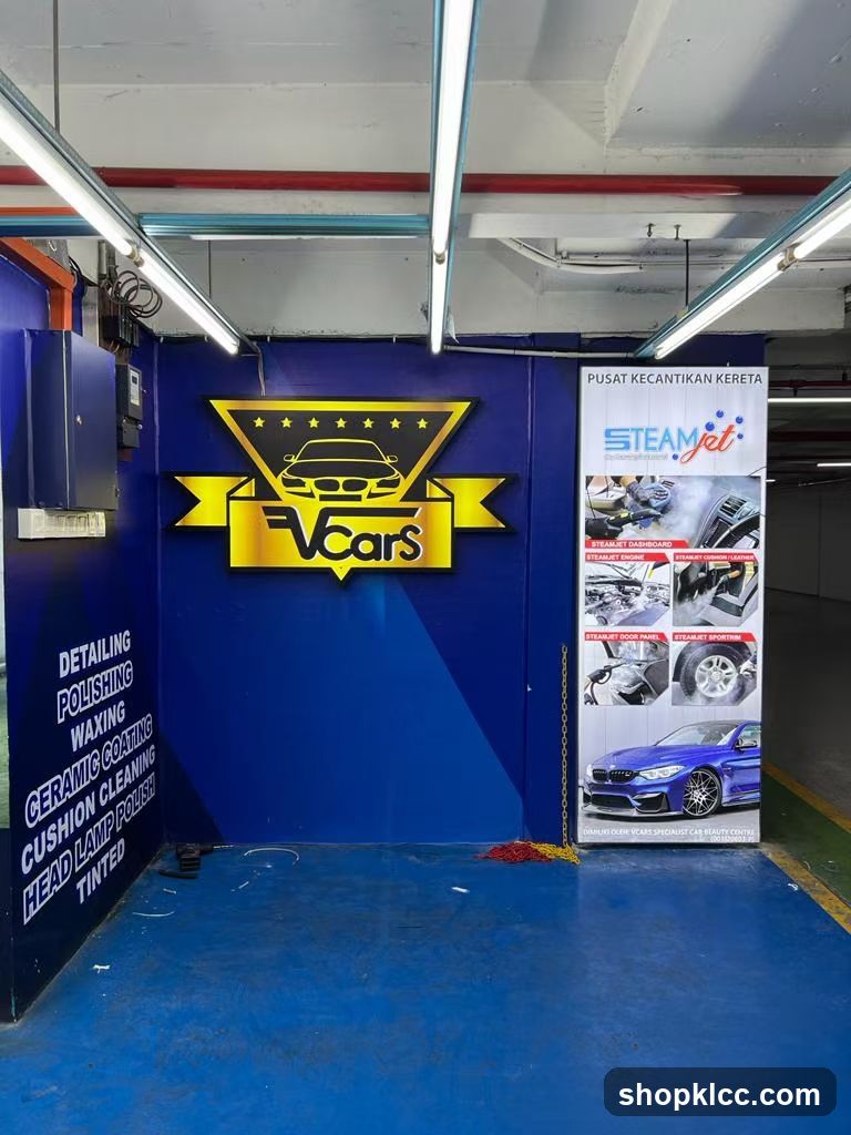 Car Detailing and Steam Cleaning Services