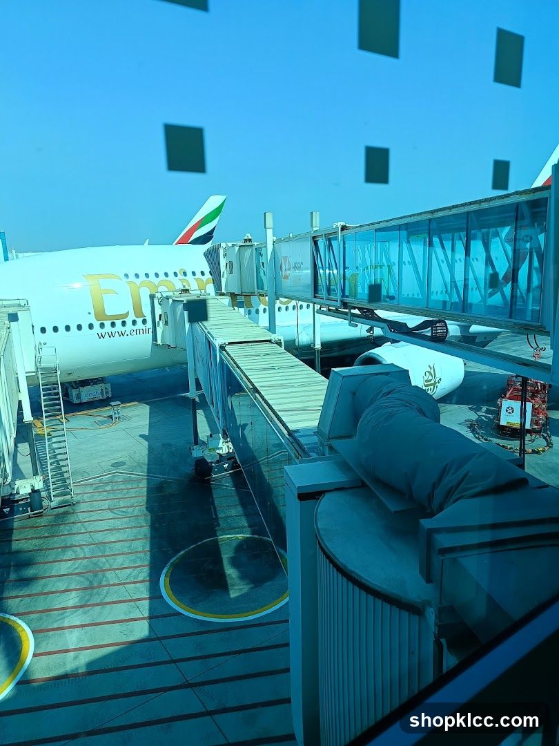 Airplane at Gate