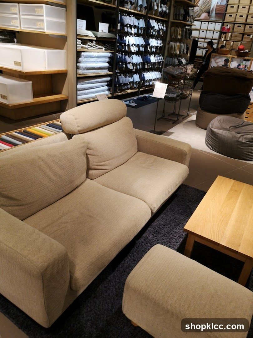 Sofa and Storage Display