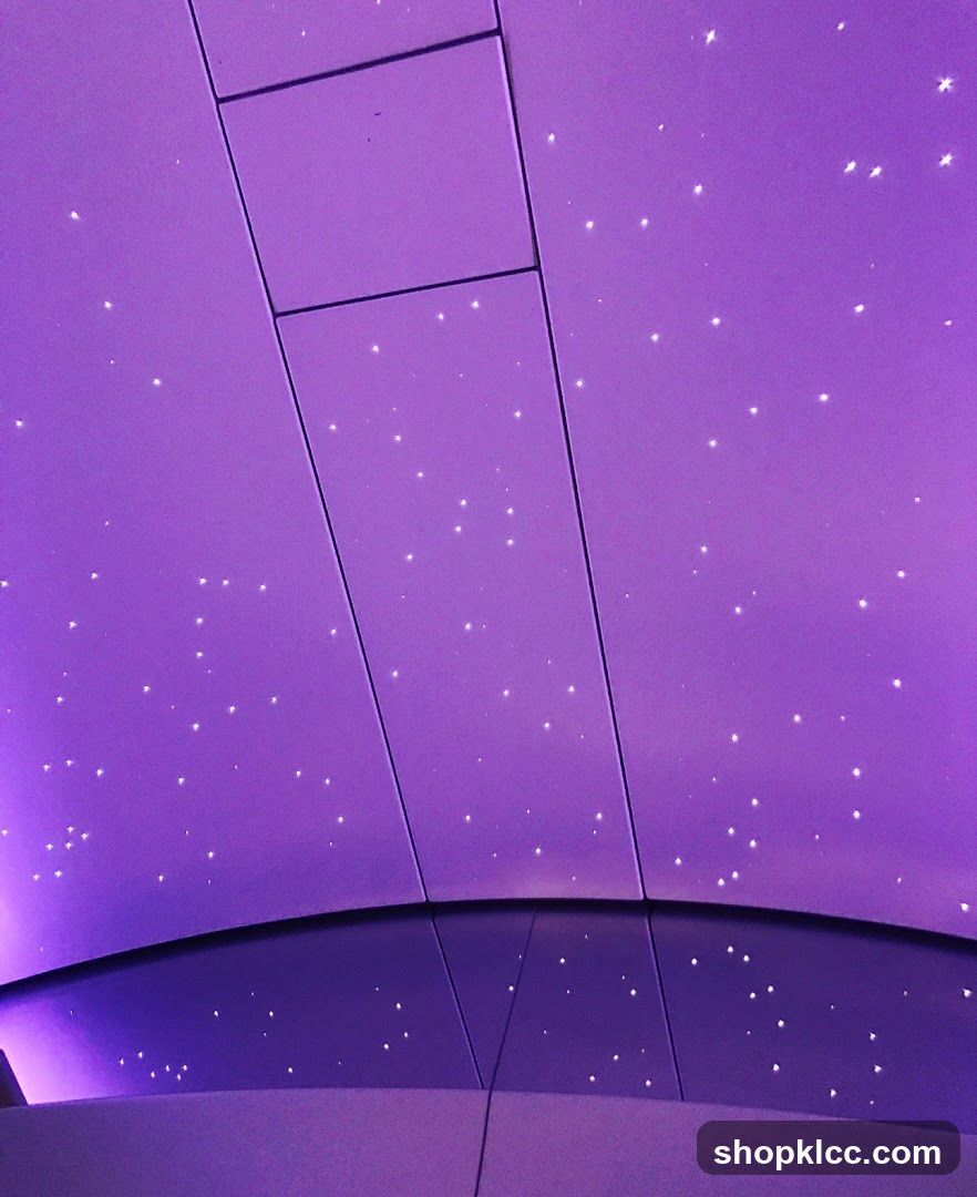 Starry Ceiling