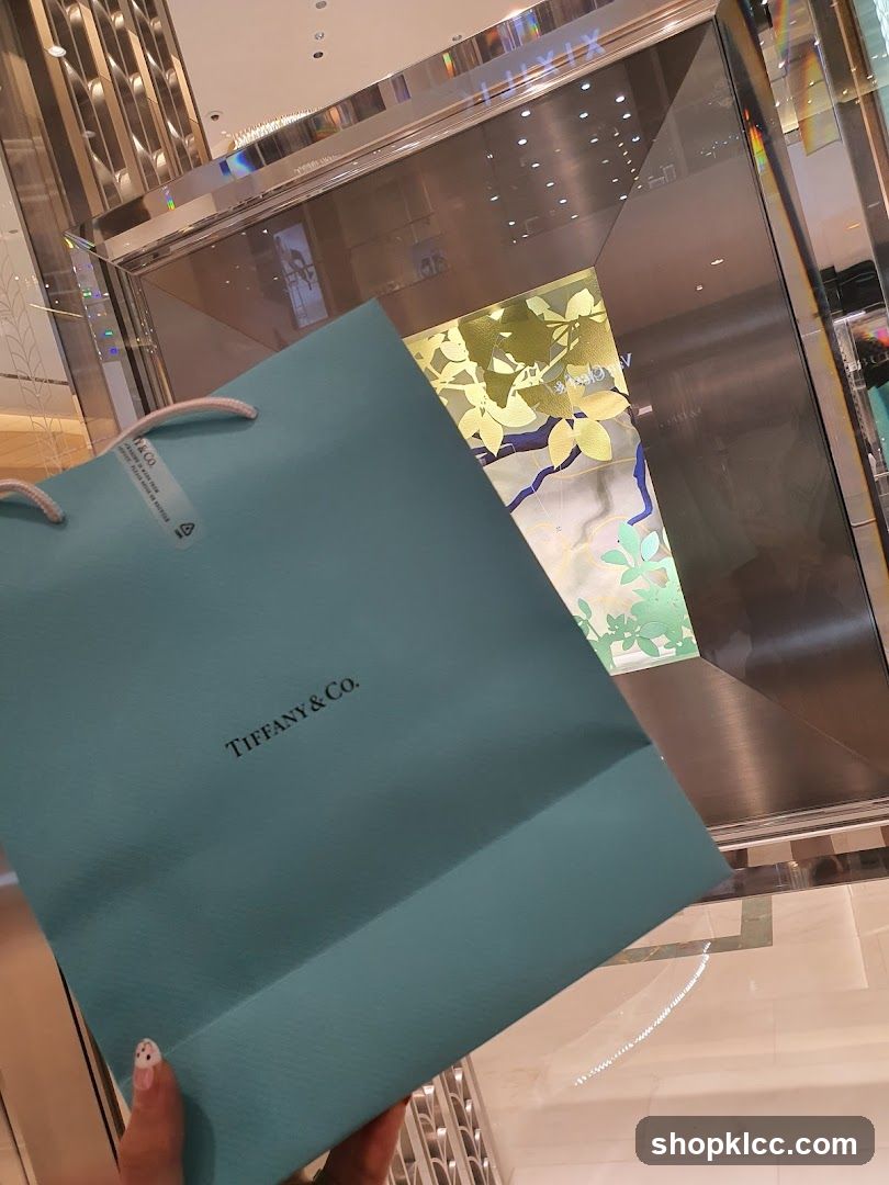Tiffany & Co. Shopping Bag