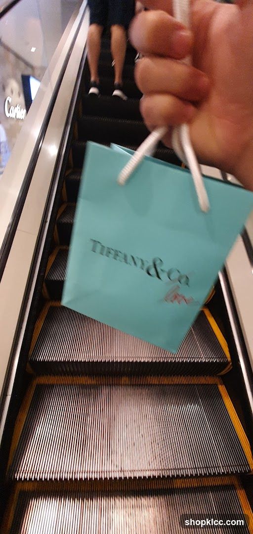 Tiffany & Co. Shopping Bag on Escalator