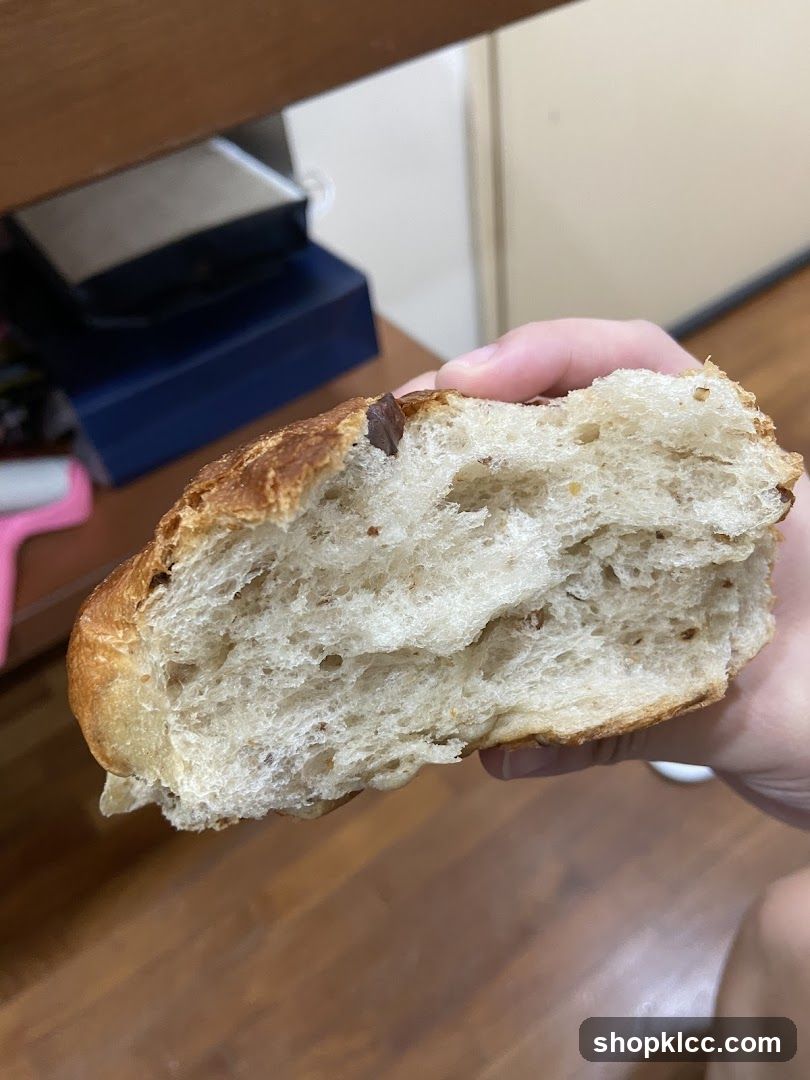 Close-up of a hand holding a piece of bread