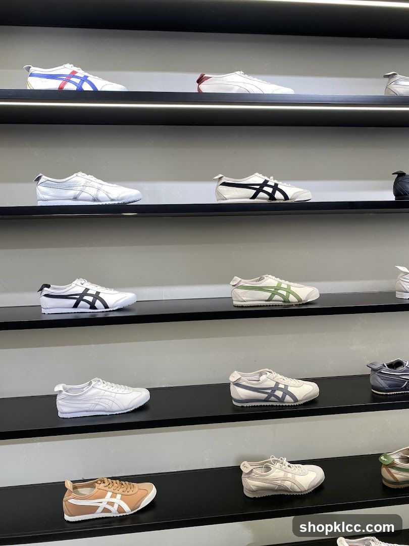 Sneakers on Display