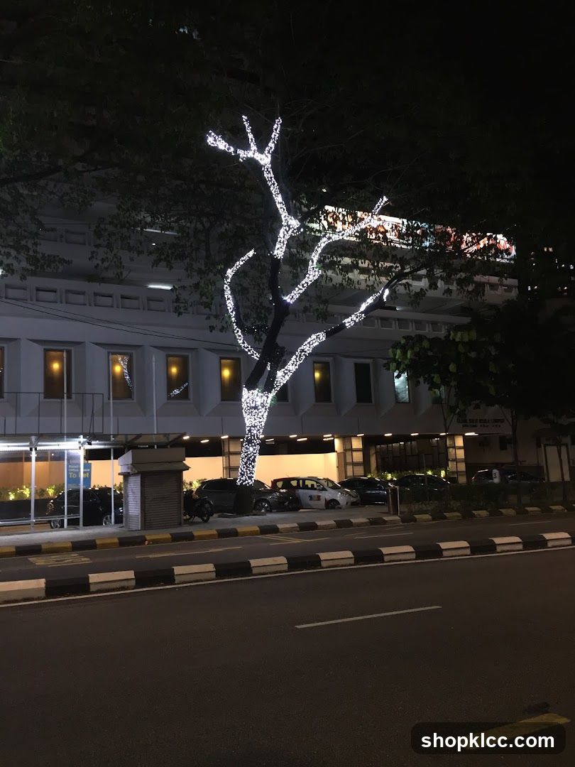 Petronas Dagangan Berhad