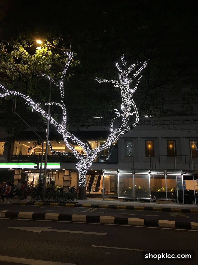 Tree decorated with lights at night