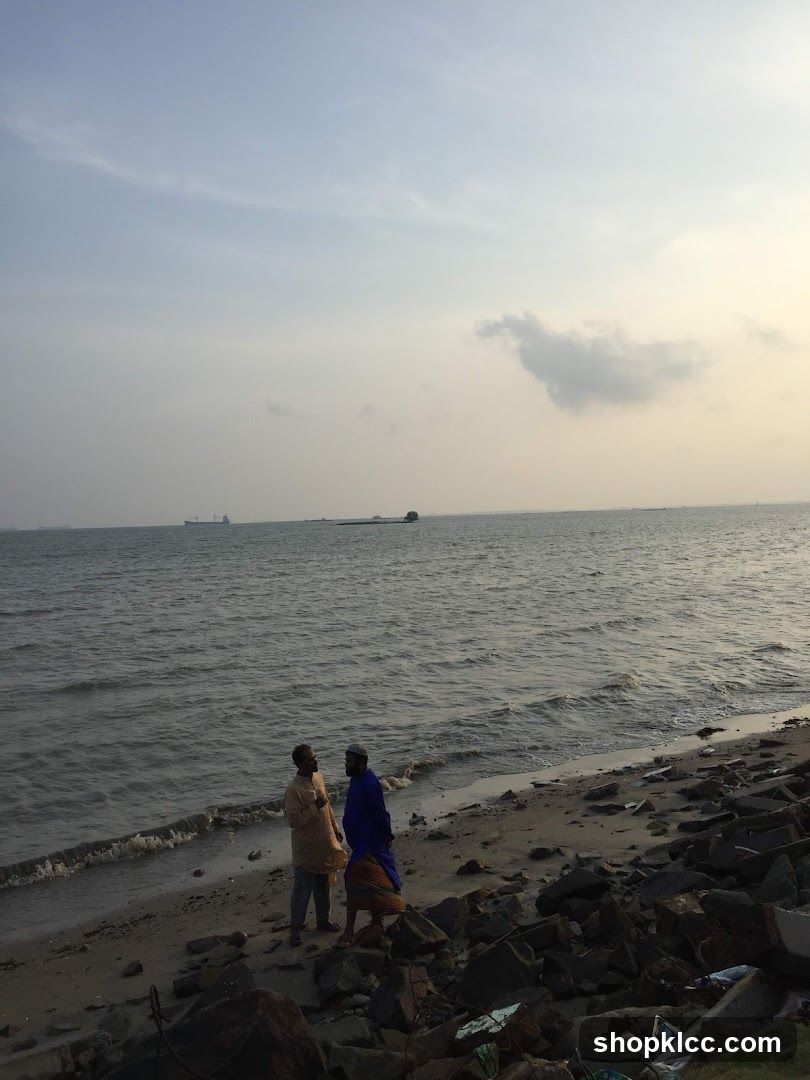 Two men talking on a beach with ships in the distance