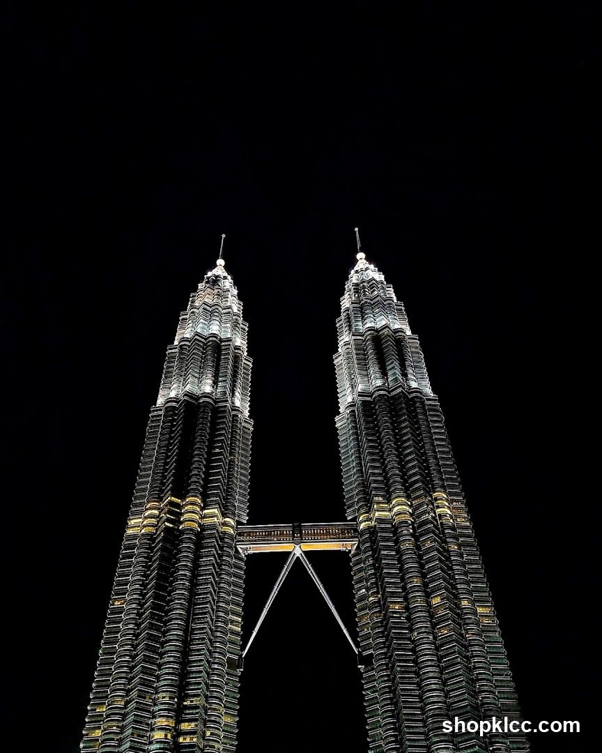 Petronas Towers at Night