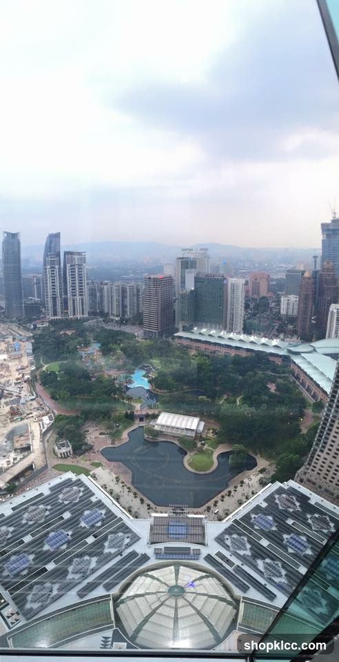 Cityscape with Park and Buildings
