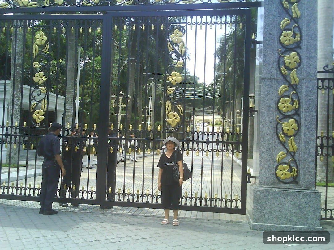 Ornate Gate with Guards and Visitor