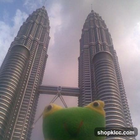 Petronas Towers with a frog toy