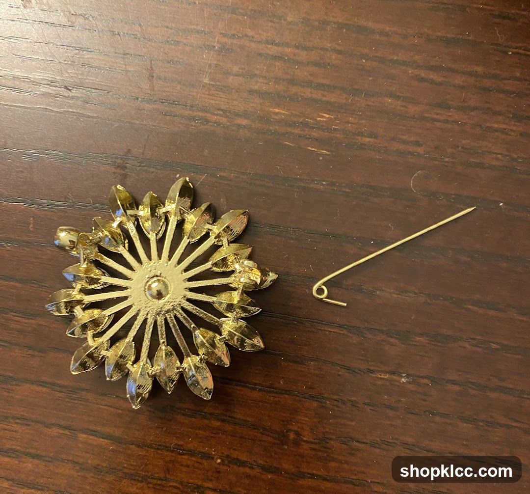 Broken Brooch