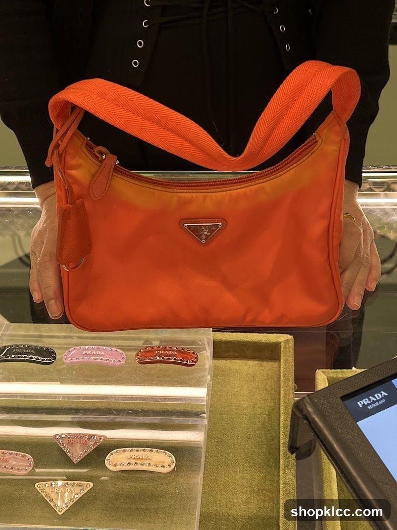 Prada Handbag and Accessories