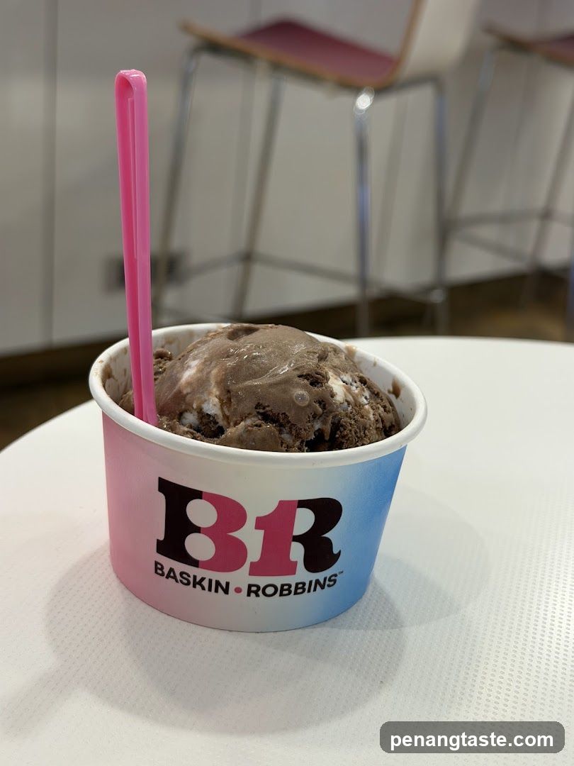 Baskin Robbins Ice Cream Cup