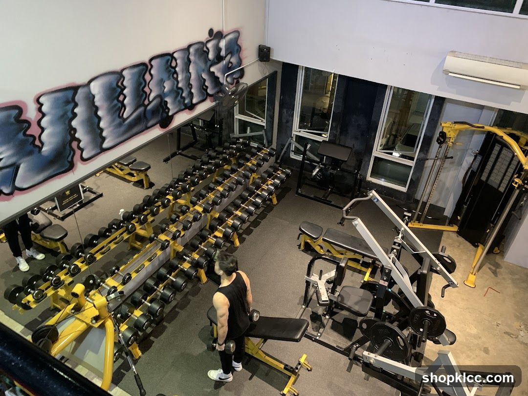 Gym Interior with Dumbbells and Weight Machines