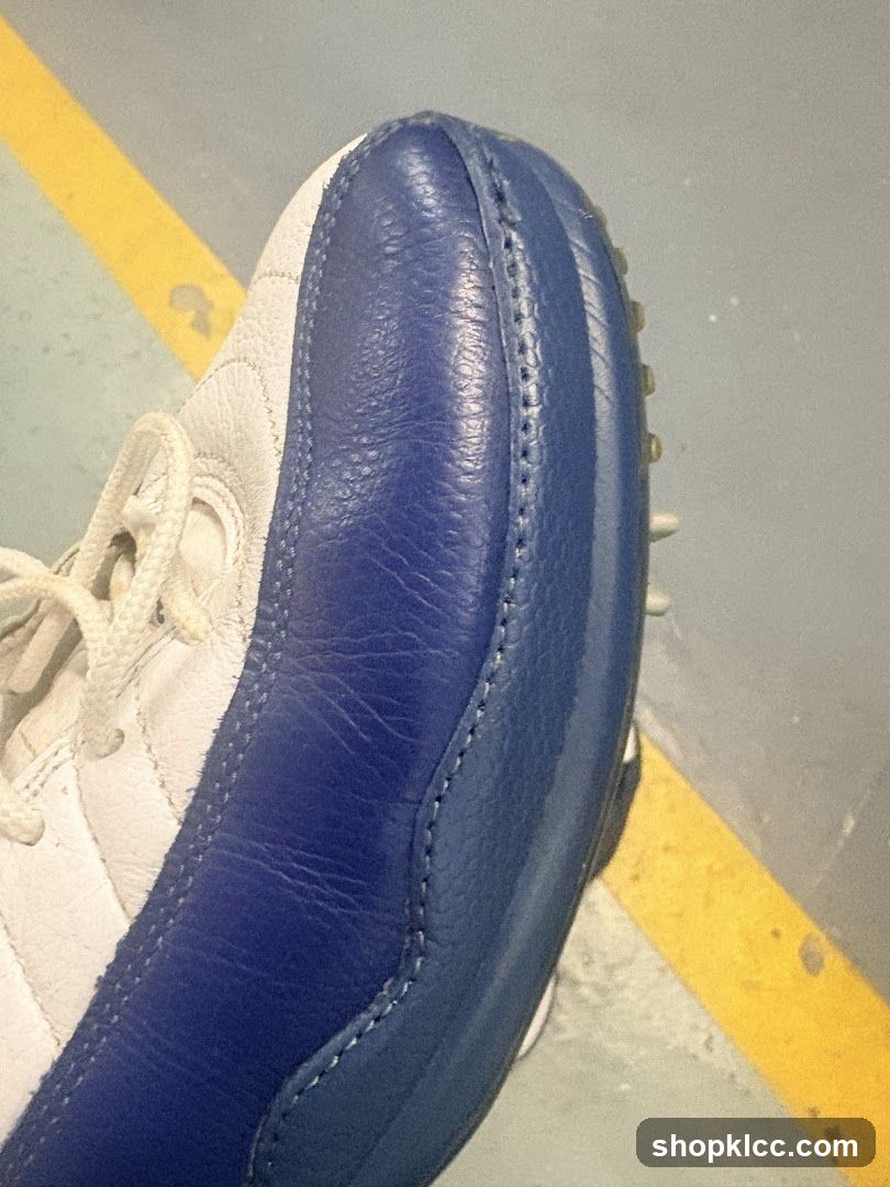 Blue and White Sneaker