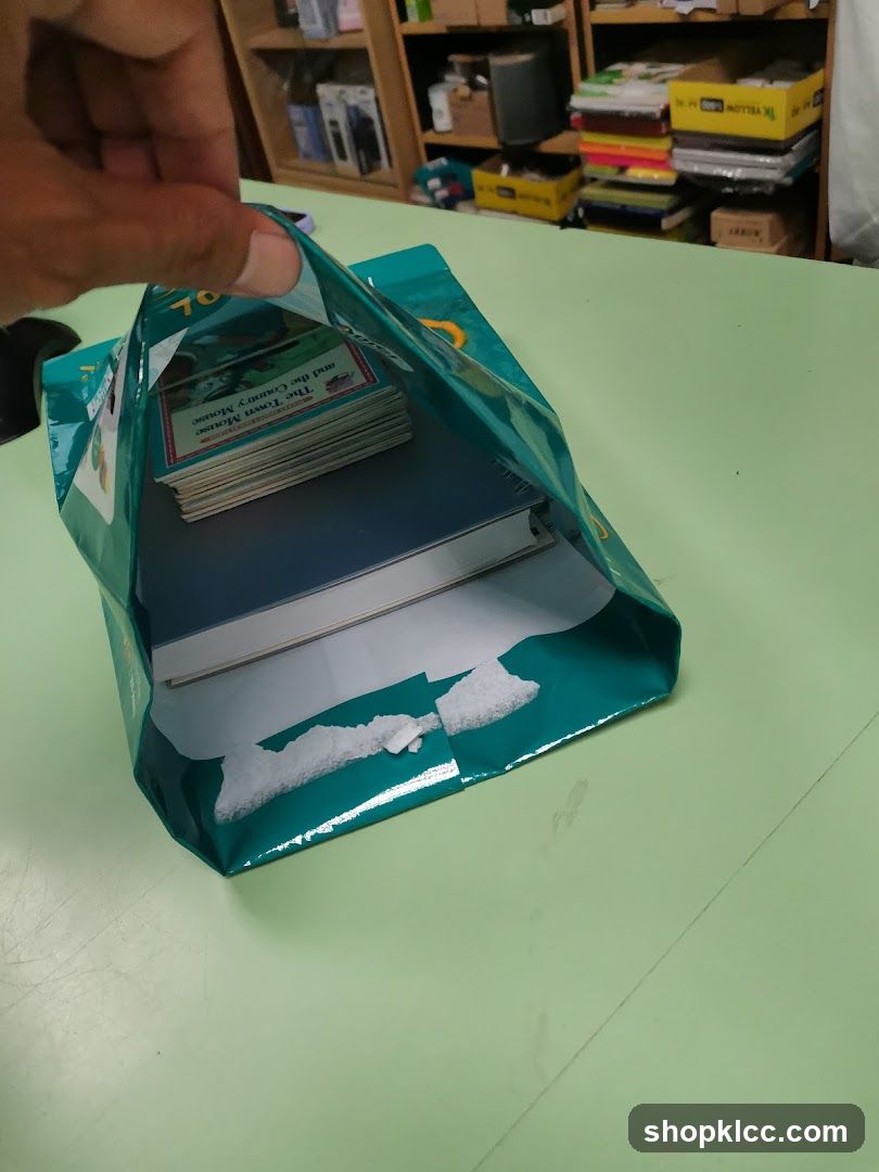 Books in a Bag
