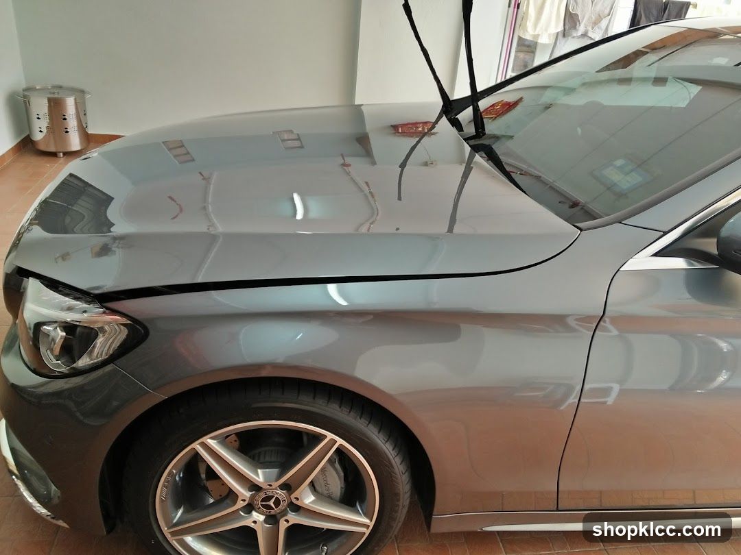 Car Hood and Windshield