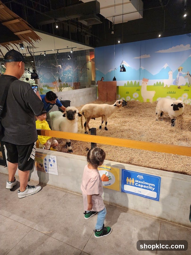 Farm Exhibit with Sheep