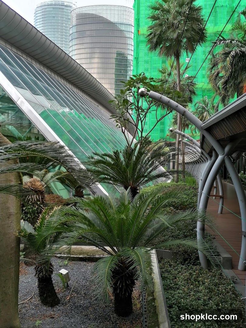 Modern Architecture and Tropical Plants