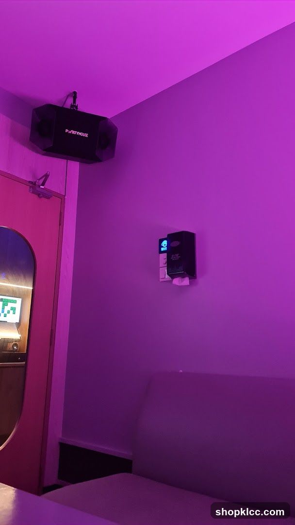 Karaoke Room Interior