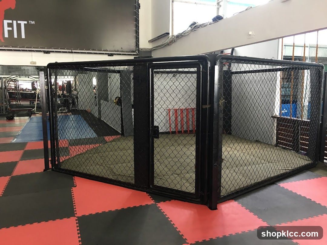 MMA Cage