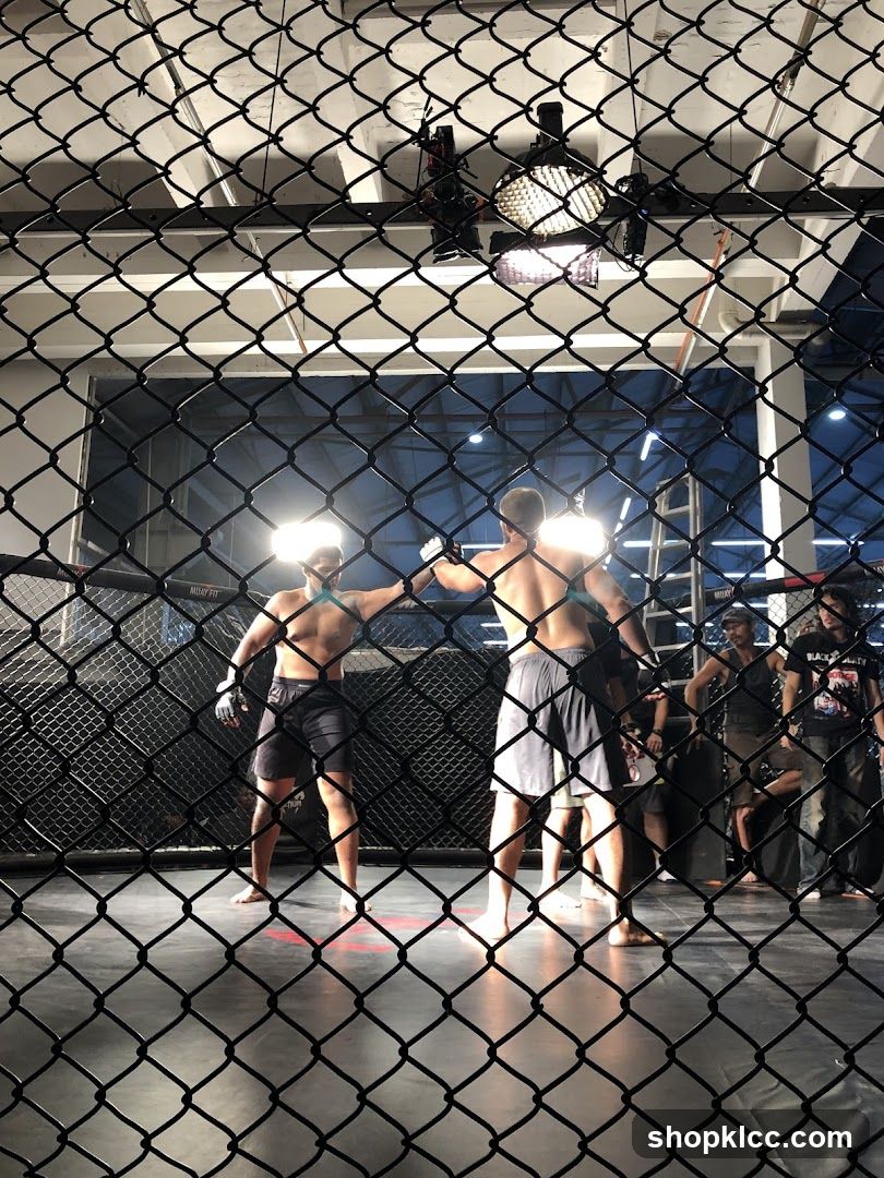 MMA fighters in ring