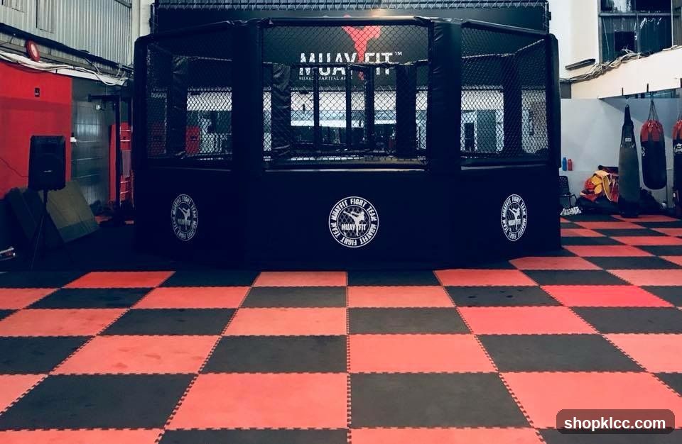 MMA Cage and Training Area