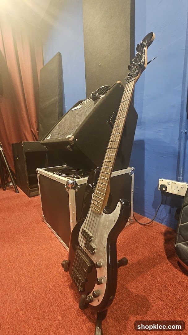 Bass Guitar and Amplifiers