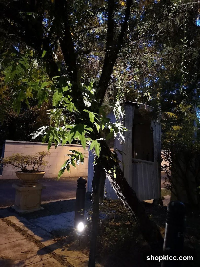 Outdoor structure at night