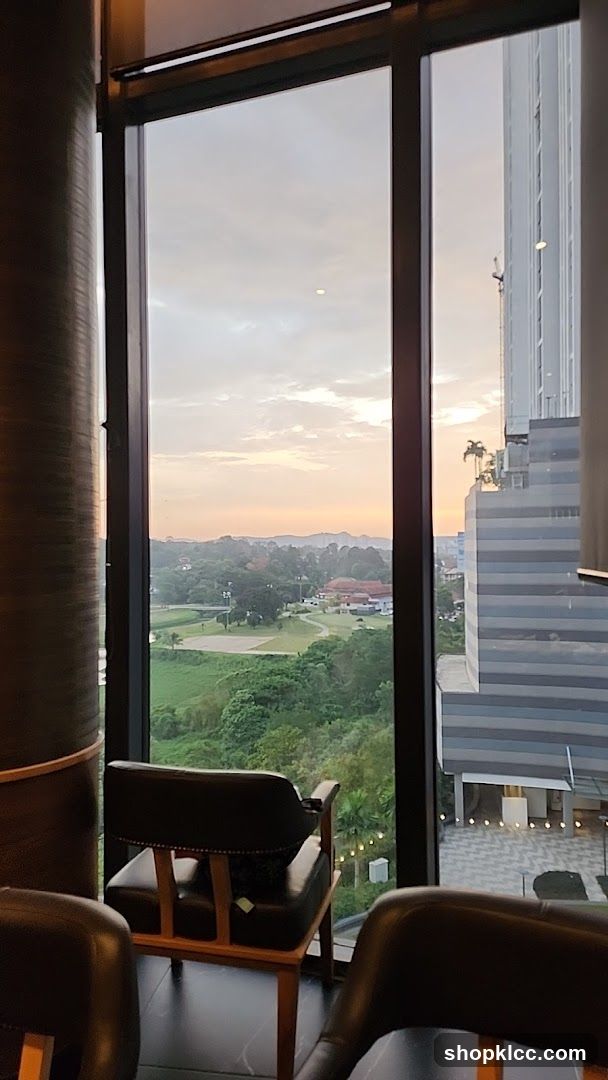 View from a high-rise interior