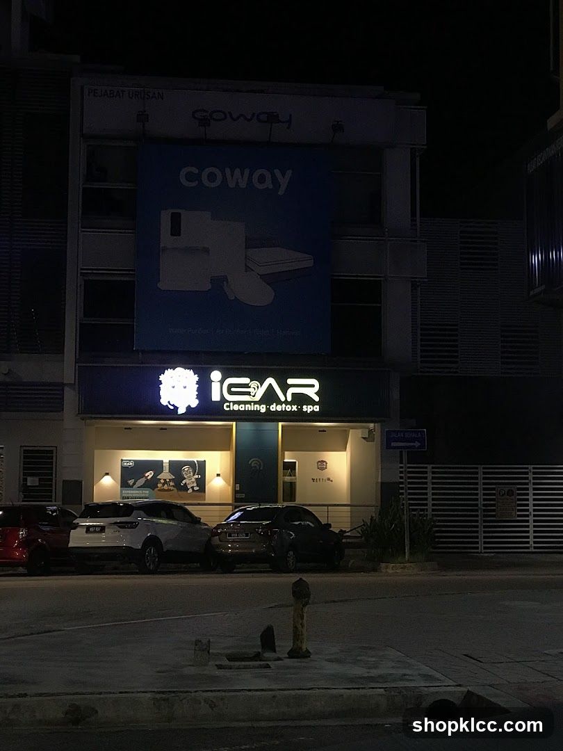 iEar Cleaning Kota Damansara 中华养生