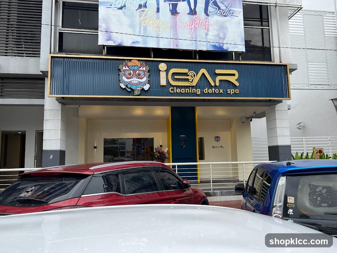 iEar Cleaning Kota Damansara 中华养生