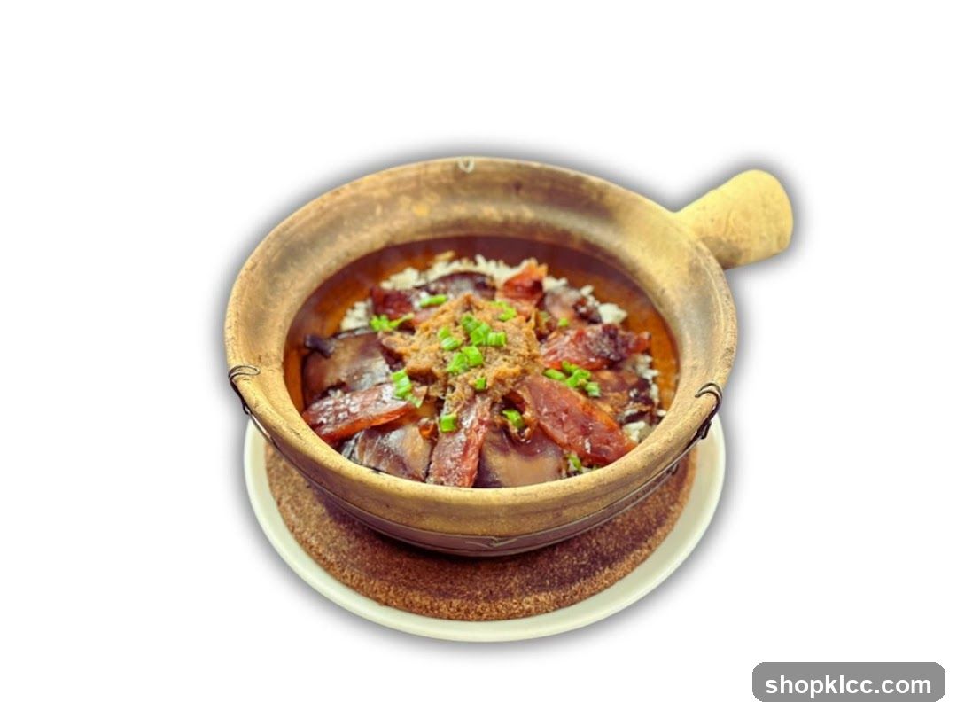 Cantonese-style Claypot Rice with Braised Pork