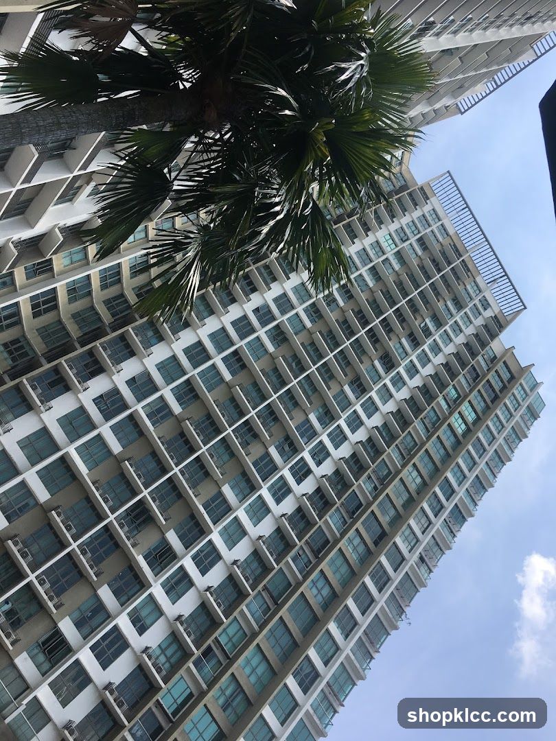 Tall Residential Building with Palm Tree
