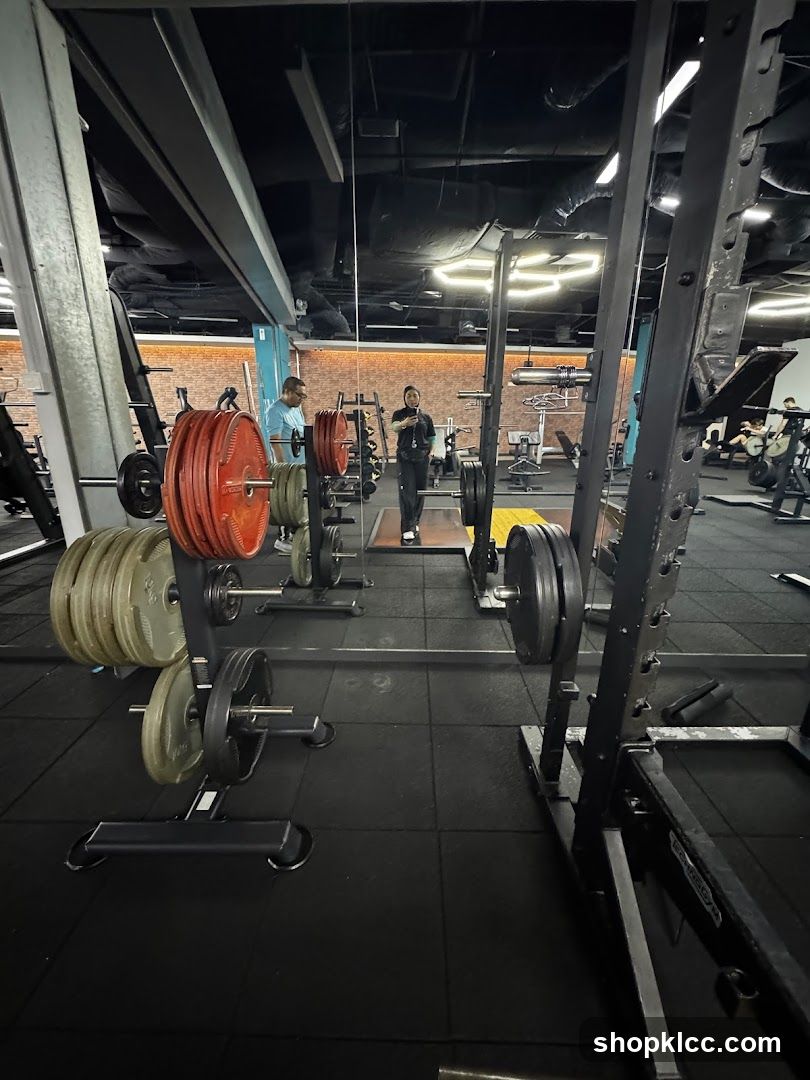 Gym Interior with Weight Lifting Equipment