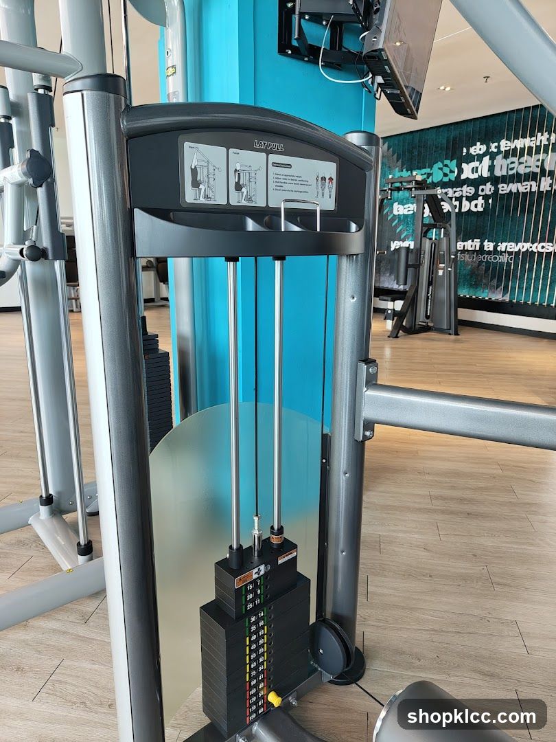 Gym Interior Equipment