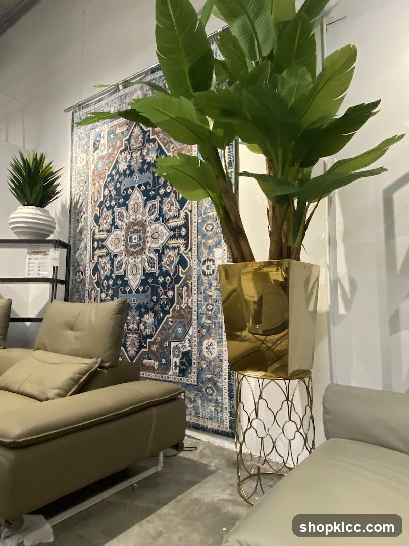 Interior Furniture Display