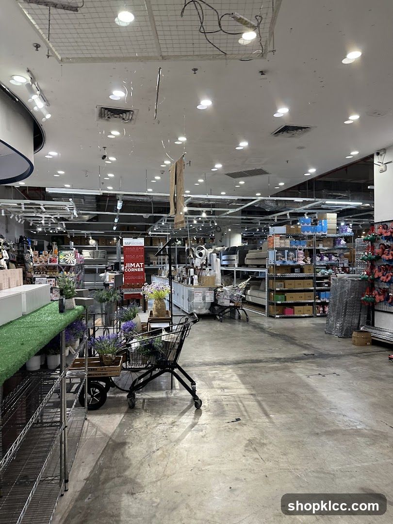 Interior of a retail store with shelves and products